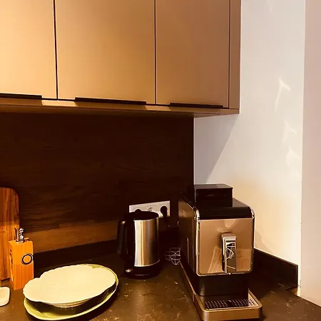 Steinberg Apartment *