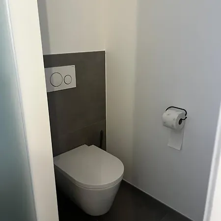 Steinberg Apartment Schladming